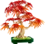 LEGO® Botanicals 10348 Bonsaj – Japonský červený javor