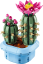 LEGO® Botanicals 11509 Kvetoucí kaktus