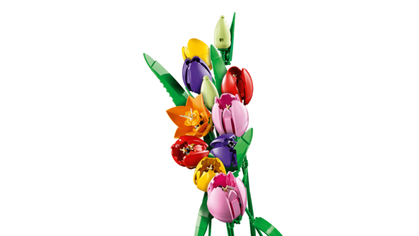 LEGO® Botanicals 11501 Kytica tulipánov