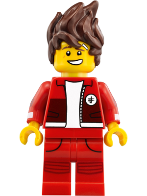 The LEGO NINJAGO Movie