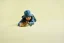 LEGO® Jurassic World 76970 Dinosauří mládě Dolores Aquilops