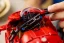 LEGO® Technic 42202 Motocykel Ducati Panigale V4 S