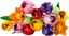 LEGO® Botanicals 11501 Kytica tulipánov