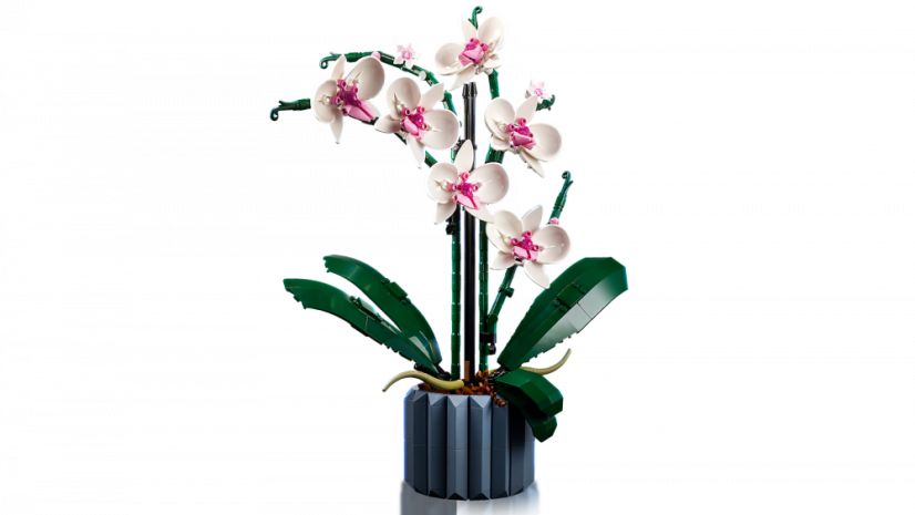 LEGO® Creator Expert 10311 Orchidej