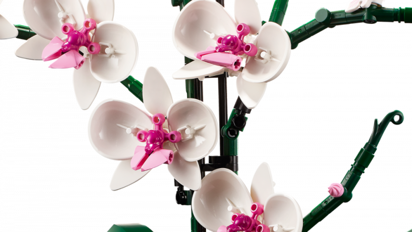 LEGO® Creator Expert 10311 Orchidej