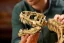 LEGO® Jurassic World 76968 Dinosauří fosilie: Tyrannosaurus rex